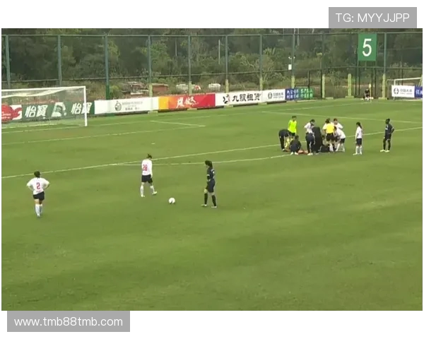 苏超南京队全胜启示：校园足球如何培育职业球星